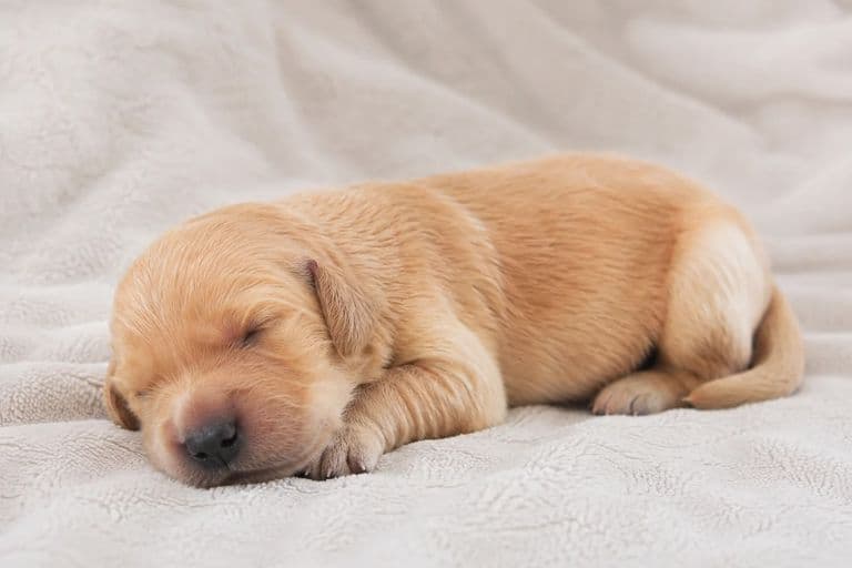 Murphy